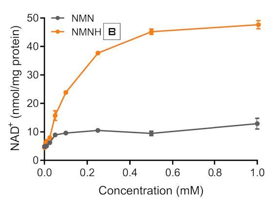 NMNH (amorfo) vs. NMN